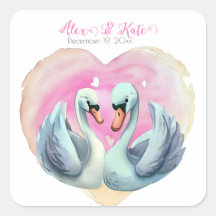 Casal de Cisne Cinto | Casamento romântico