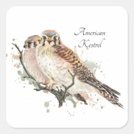Adesivo Quadrado Casal Kestrel de Birding com Aquarela