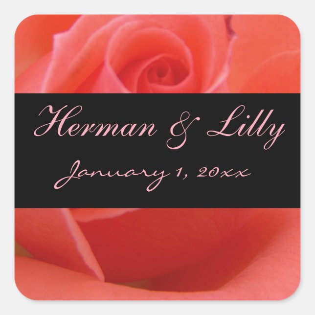 Adesivo Quadrado Casamento pessoal derrubado branco do rosa do rosa (Frente)