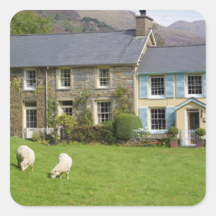 Adesivo Quadrado Casas de campo, Beddgelert, Gwynedd, País de Gales
