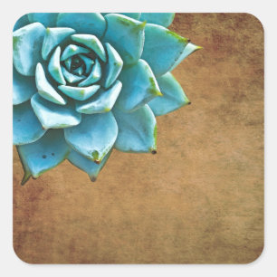 Adesivo Quadrado Castanho Russo com Aquarela Suculta