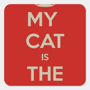 Adesivo Quadrado Cat Qoute