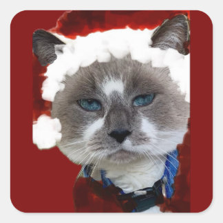 Adesivo Quadrado Cat Santa Claws Christmas Maureen Girard Blue Eye 