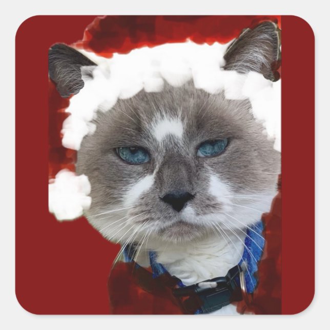 Adesivo Quadrado Cat Santa Claws Christmas Maureen Girard Blue Eye  (Frente)