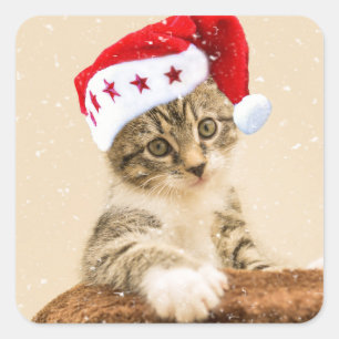 Adesivo Quadrado Cat with santa cap