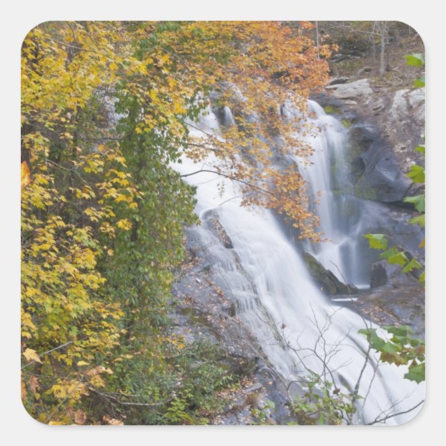 Adesivo Quadrado Cataratas do Rio Bald (Frente)