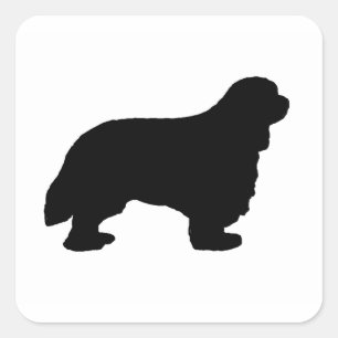 Adesivo Quadrado Cavalier King Charles silo preto