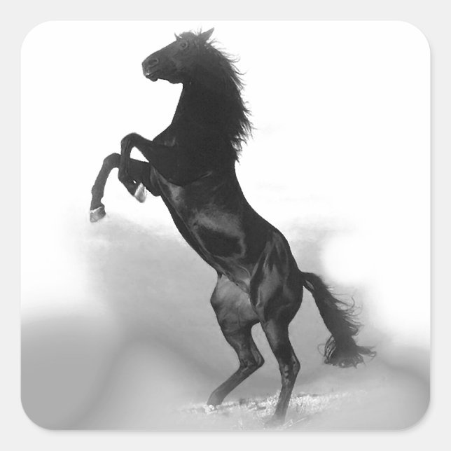 Adesivo Quadrado Cavalo (Frente)