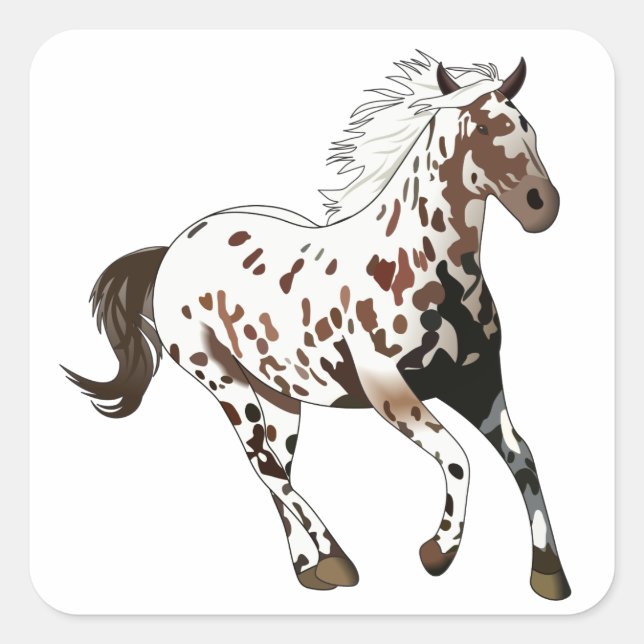 Adesivo Quadrado Cavalo Appaloosa (Frente)