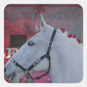 Adesivo Quadrado cavalo branco puro com ponte preta e flores vermel