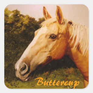 Adesivo Quadrado Cavalo de Palomino com Blaze