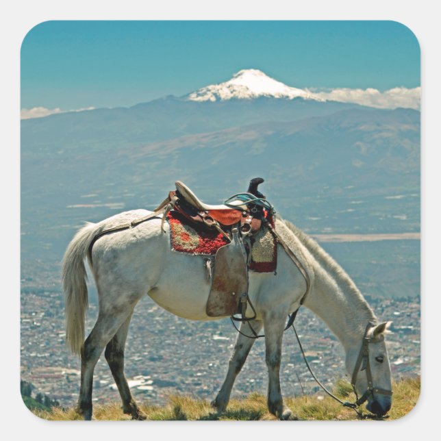 Adesivo Quadrado Cavalo e vulcão, Quito, Equador (Frente)