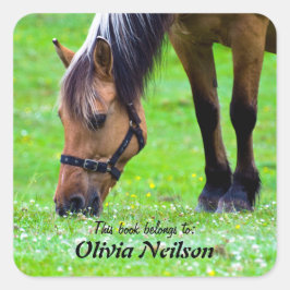 Adesivo Quadrado Cavalo "Este livro pertence a..." Vinheta
