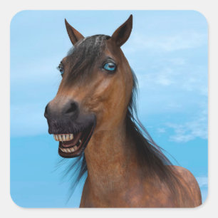 Adesivo Quadrado Cavalo Feliz