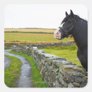 Adesivo Quadrado Cavalo na fazenda na Inglaterra rural