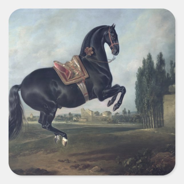 Adesivo Quadrado Cavalo negro executando Courbette (Frente)