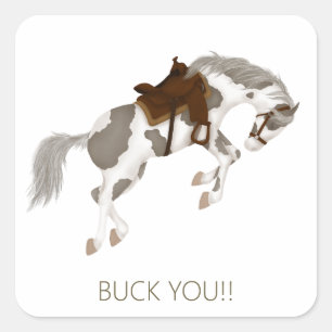 Adesivo Quadrado Cavalo Pintado Engraçado Você!