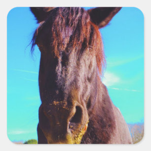 Adesivo Quadrado Cavalo Roxo com Boca Verde