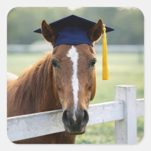 Adesivo Quadrado Cavalo Usando um Chapéu de Graduação