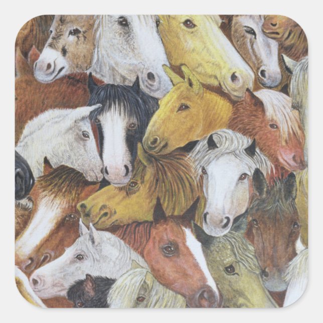 Adesivo Quadrado Cavalos (Frente)