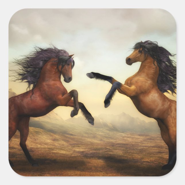 Adesivo Quadrado Cavalos Selvagens (Frente)