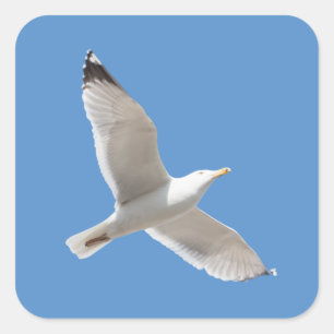 Adesivo Quadrado Caveira voadora