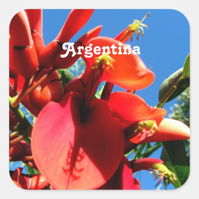 Adesivo Quadrado Ceibo (Frente)