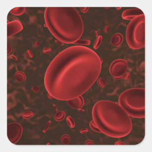 Adesivo Quadrado Células Vermelhas do Sangue Microscópicas