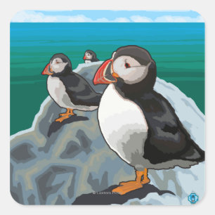Adesivo Quadrado Cena de New HampshirePuffins