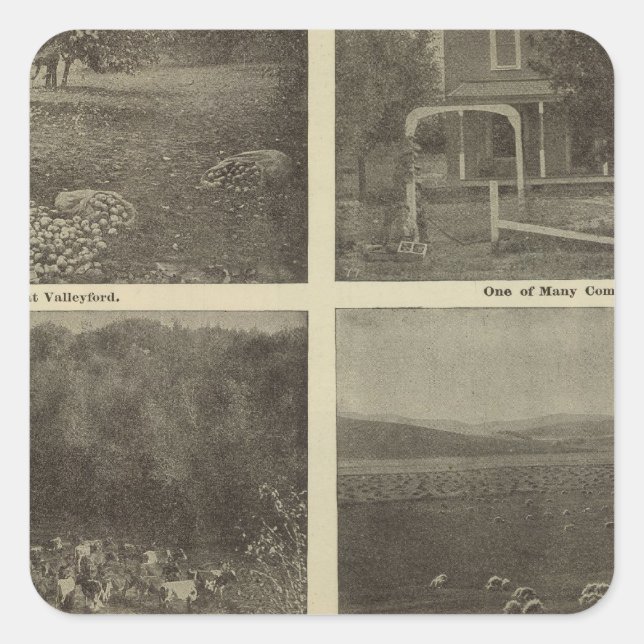 Adesivo Quadrado Cenas no Império Interior (Frente)