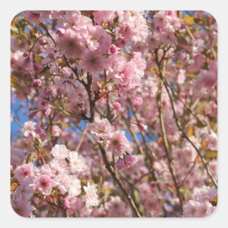 Adesivo Quadrado Cerejeira Rosa Flor de Primavera