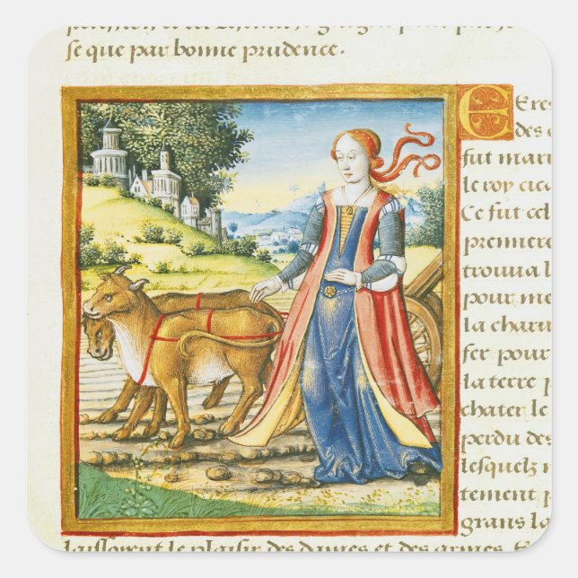 Adesivo Quadrado Ceres (Frente)