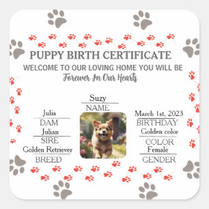 Adesivo Quadrado Certificado de Nascimento de Puppy Personalizado