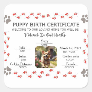 Adesivo Quadrado Certificado de Nascimento de Puppy Personalizado