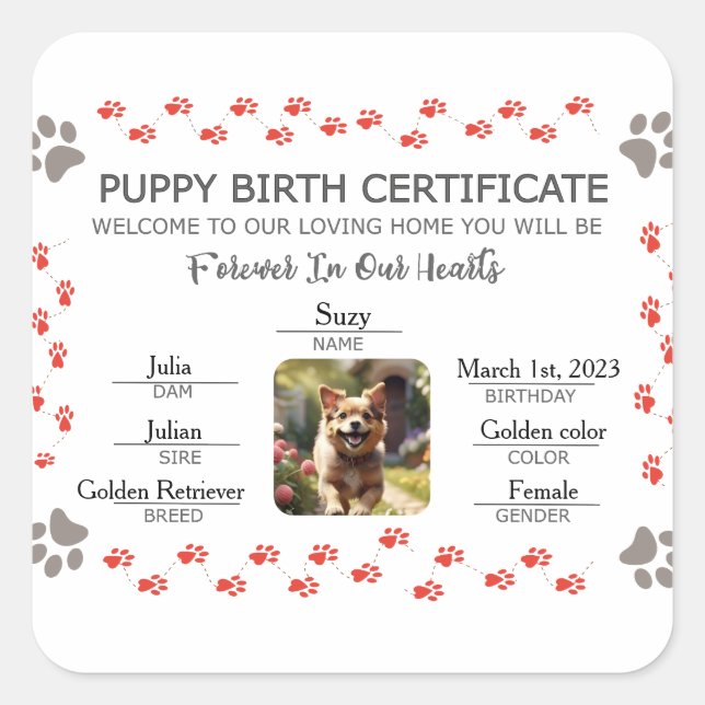 Adesivo Quadrado Certificado de Nascimento de Puppy Personalizado (Frente)