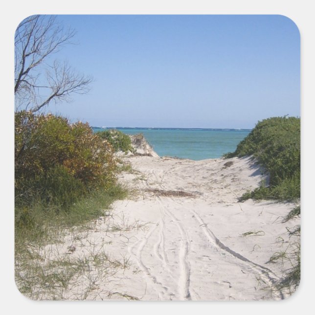 Adesivo Quadrado Cervantes WA (Frente)