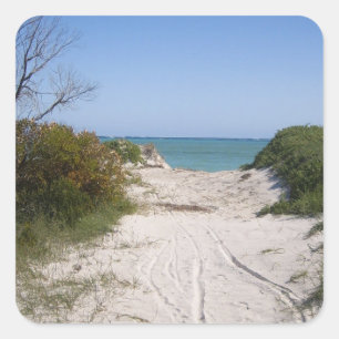 Adesivo Quadrado Cervantes WA