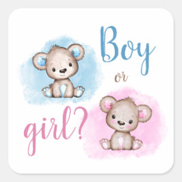Adesivo Quadrado Chá de Revelação de Gênero do Ursinho Fofinho
