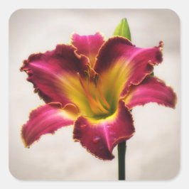 Adesivo Quadrado Cherokee Heritage Daylily