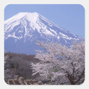 Adesivo Quadrado Cherry Blossom e Monte Fuji