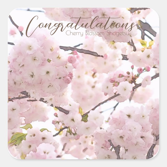 Adesivo Quadrado Cherry Blossom "Hayashi-ichigo" スクエアシール (Frente)