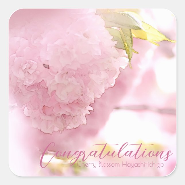 Adesivo Quadrado Cherry Blossom "Hayashi-ichigo" スクエアシール (Frente)
