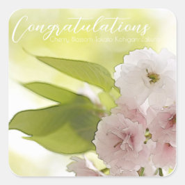 Adesivo Quadrado Cherry Blossom "Takato Kohigan-Zakura" スクエアシール