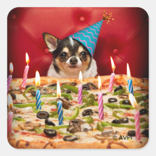 Adesivo Quadrado Chihuahua Birthday Pizza Pie