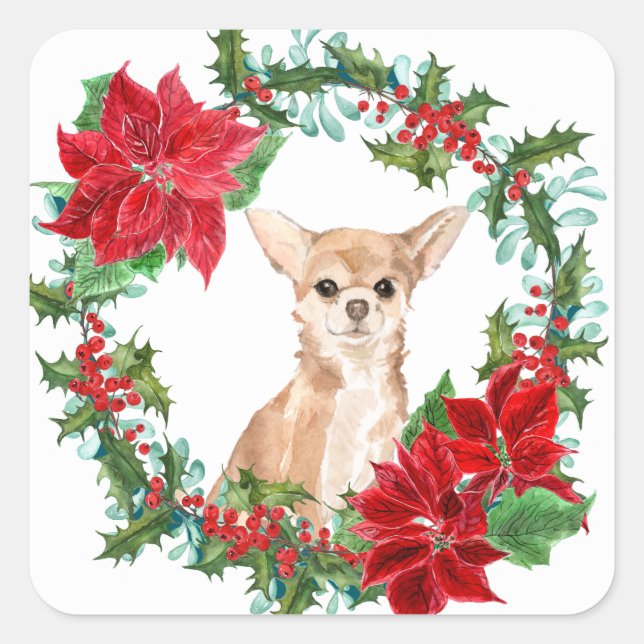 Adesivo Quadrado Chihuahua Dog Poinsettia Christmas Wreath (Frente)