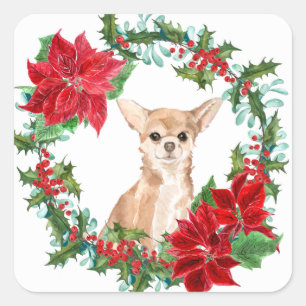 Adesivo Quadrado Chihuahua Dog Poinsettia Christmas Wreath