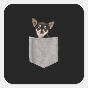 Adesivo Quadrado chihuahua in pocket  chihuahua lovers gifts