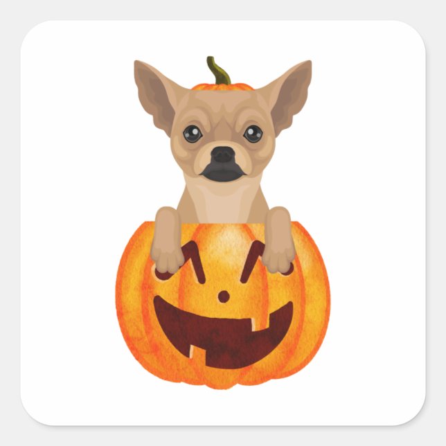 Adesivo Quadrado Chihuahua Pumpkin (Frente)