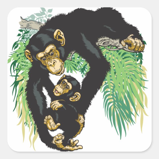 Adesivo Quadrado chimpanzé com bebê (Frente)