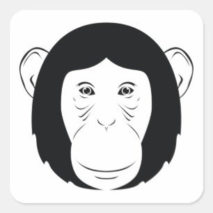 Adesivo Quadrado Chimpanzé Face Silhueta